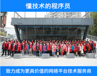 軟件開發(fā)公司技術(shù)團隊